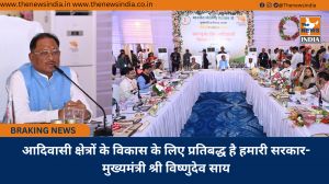 आदिवासी क्षेत्रों के विकास के लिए प्रतिबद्ध है हमारी सरकार-मुख्यमंत्री श्री विष्णुदेव साय