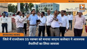 जिले में राज्योत्सव 05 नवम्बर को मनाया जाएगा कलेक्टर ने आवश्यक तैयारियों का लिया जायजा