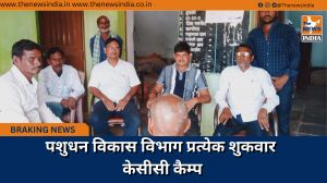 पशुधन विकास विभाग प्रत्येक शुकवार केसीसी कैम्प