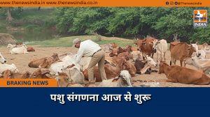 पशु संगणना आज से शुरू