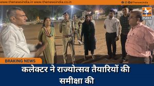 कलेक्टर ने राज्योत्सव तैयारियों की समीक्षा की