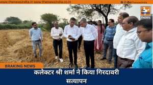 कलेक्टर श्री शर्मा ने किया गिरदावरी सत्यापन 