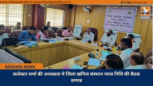 कलेक्टर शर्मा की अध्यक्षता मे जिला खनिज संस्थान न्यास निधि की बैठक सम्पन्न