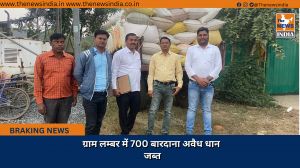 ग्राम लम्बर में 700 बारदाना अवैध धान जब्त