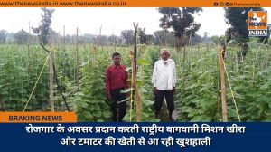 रोजगार के अवसर प्रदान करती राष्ट्रीय बागवानी मिशन खीरा और टमाटर की खेती से आ रही खुशहाली