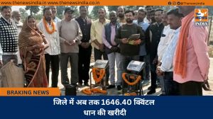 जिले में अब तक 1646.40 क्विंटल धान की खरीदी