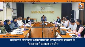 कलेक्टर ने ली राजस्व अधिकारियों की बैठक राजस्व प्रकरणों के निराकरण में कसावट पर जोर