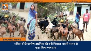 सबिता दीदी ग्रामीण उद्यमिता की बनी मिसाल  बकरी पालन से खड़ा किया व्यवसाय 