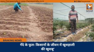 गेंदे के फूलः किसानों के जीवन में खुशहाली की खुशबू‘