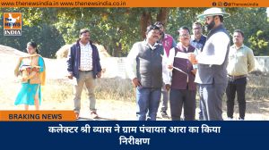 कलेक्टर श्री व्यास ने ग्राम पंचायत आरा का किया निरीक्षण