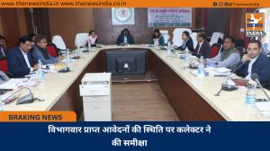 विभागवार प्राप्त आवेदनों की स्थिति पर कलेक्टर ने की समीक्षा