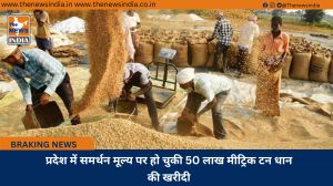 प्रदेश में समर्थन मूल्य पर हो चुकी 50 लाख मीट्रिक टन धान की खरीदी