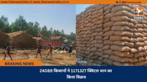 24089 किसानों ने 1171327 क्विंटल धान का किया विक्रय