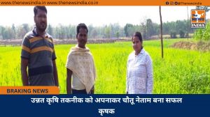 उन्नत कृषि तकनीक को अपनाकर चौतू नेताम बना सफल कृषक