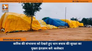 बारिश की संभावना को देखते हुए धान बचाव की सुरक्षा का पुख्ता इंतज़ाम करेंः कलेक्टर
