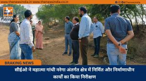 सीईओ ने महात्मा गांधी नरेगा अंतर्गत क्षेत्र में निर्मित और निर्माणाधीन कार्यों का किया निरीक्षण