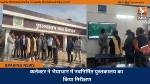 कलेक्टर ने भैयाथान में नवनिर्मित पुस्तकालय का किया निरीक्षण