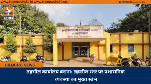 तहसील कार्यालय बसनाः तहसील स्तर पर प्रशासनिक व्यवस्था का मुख्य स्तंभ