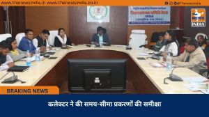 कलेक्टर ने की समय-सीमा प्रकरणों की समीक्षा
