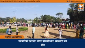 नववर्ष पर नंदनवन जंगल सफारी बना आकर्षण का केंद्र