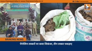 पेंगोलिन तस्करों पर कसा शिकंजा, तीन तस्कर पकड़ाए