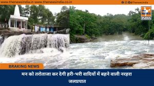 मन को तरोताजा कर देगी हरी-भरी वादियों में बहने वाली नरहरा जलप्रपात