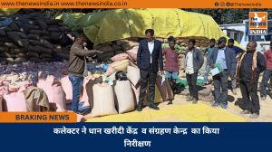 कलेक्टर ने धान खरीदी केंद्र  व संग्रहण केन्द्र  का किया निरीक्षण