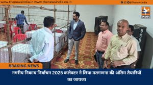 नगरीय निकाय निर्वाचन 2025 कलेक्टर ने लिया मतगणना की अंतिम तैयारियों का जायजा