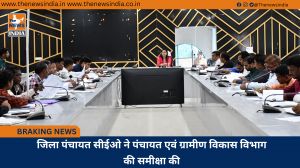 जिला पंचायत सीईओ ने पंचायत एवं ग्रामीण विकास विभाग की समीक्षा की