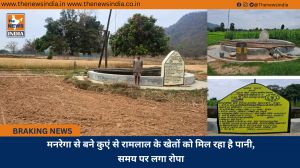 मनरेगा से बने कुएं से रामलाल के खेतों को मिल रहा है पानी, समय पर लगा रोपा