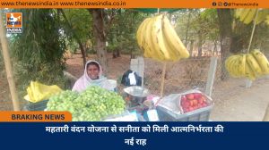 महतारी वंदन योजना से सनीता को मिली आत्मनिर्भरता की नई राह