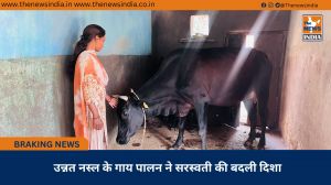 उन्नत नस्ल के गाय पालन ने सरस्वती की बदली दिशा
