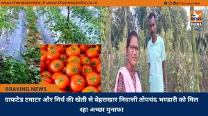 ग्राफटेड टमाटर और मिर्च की खेती से बेहराखार निवासी तोपचंद भण्डारी को मिल रहा अच्छा मुनाफा