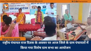 राष्ट्रीय पंचायत राज दिवस के अवसर पर आज जिले के ग्राम पंचायतों में किया गया विशेष ग्राम सभा का आयोजन