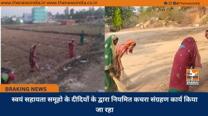 स्वयं सहायता समूहो के दीदियों के द्वारा नियमित कचरा संग्रहण कार्य किया जा रहा