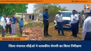 जिला पंचायत सीईओ ने शासकीय रोपणी का किया निरीक्षण