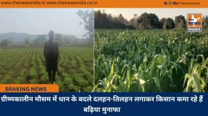 ग्रीष्मकालीन मौसम में धान के बदले दलहन-तिलहन लगाकर किसान कमा रहे हैं बढ़िया मुनाफा