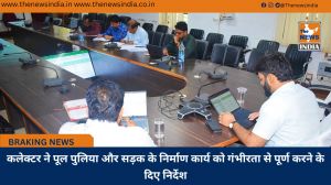 कलेक्टर ने पूल पुलिया और सड़क के निर्माण कार्य को गंभीरता से पूर्ण करने के दिए निर्देश