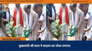 मुख्यमंत्री श्री साय ने बादाम का पौधा लगाया