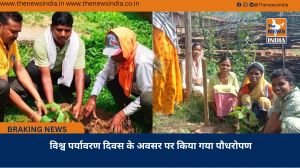 विश्व पर्यावरण दिवस के अवसर पर किया गया पौधरोपण