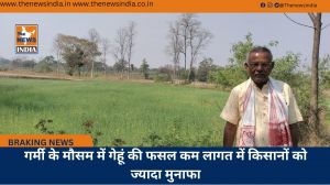 गर्मी के मौसम में गेहूं की फसल कम लागत में किसानों को ज्यादा मुनाफा