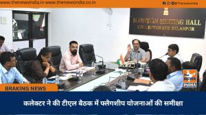 कलेक्टर ने की टीएल बैठक में फ्लैगशीप योजनाओं की समीक्षा