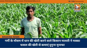 गर्मी के मौसम में धान की खेती करने वाले किसान मालती ने मक्का फसल की खेती से कमाएं दुगुना मुनाफा