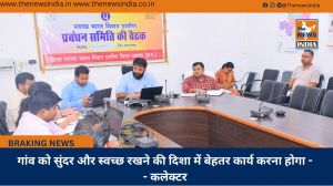 गांव को सुंदर और स्वच्छ रखने की दिशा में बेहतर कार्य करना होगा -- कलेक्टर