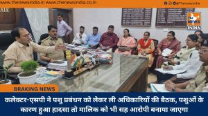 कलेक्टर-एसपी ने पशु प्रबंधन को लेकर ली अधिकारियों की बैठक, पशुओं के कारण हुआ हादसा तो मालिक को भी सह आरोपी बनाया जाएगा