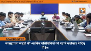 स्वसहायता समूहों की आर्थिक गतिविधियों को बढ़ाने कलेक्टर ने दिए निर्देश