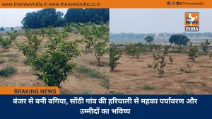 बंजर से बनी बगिया, सोंठी गांव की हरियाली से महका पर्यावरण और उम्मीदों का भविष्य