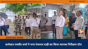 कलेक्टर रणबीर शर्मा ने नगर पंचायत दाढ़ी का किया व्यापक निरीक्षण दौरा