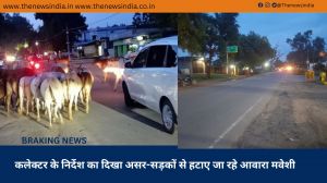 कलेक्टर के निर्देश का दिखा असर-सड़कों से हटाए जा रहे आवारा मवेशी
