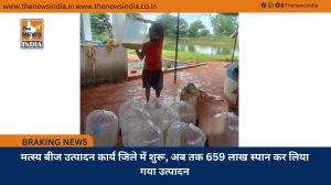 मत्स्य बीज उत्पादन कार्य जिले में शुरू, अब तक 659 लाख स्पान कर लिया गया उत्पादन